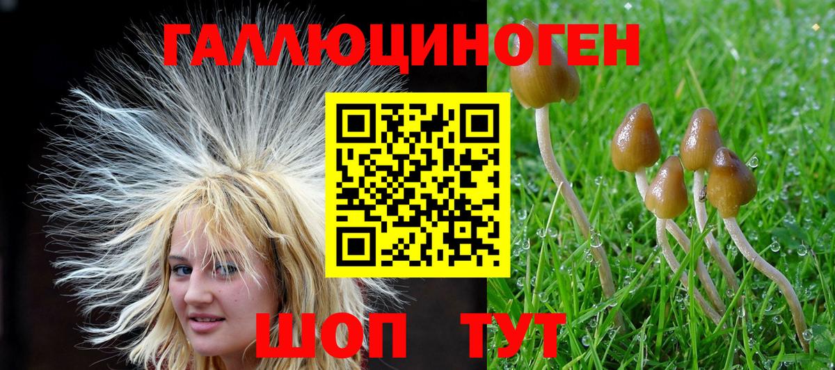 Галлюциногенные грибы Cubensis Сертолово